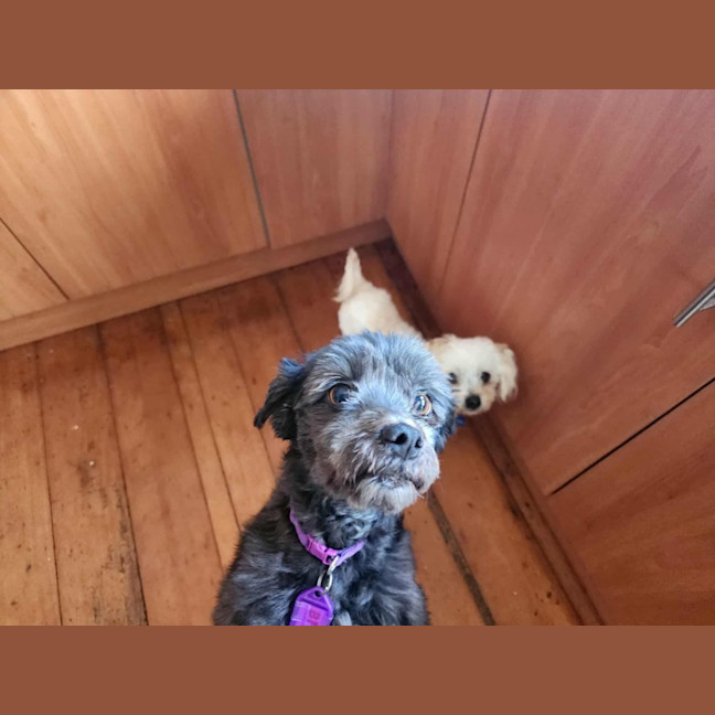 Photo of Cinder And Aj 