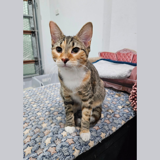 Photo of Pretty Girl