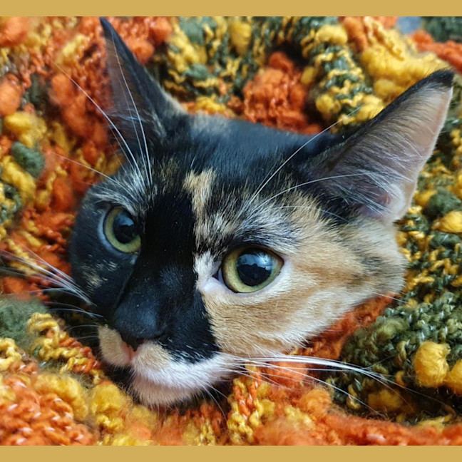 Photo of Dido
