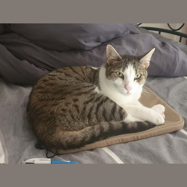 Photo of Missy & Sonny 🌺💙