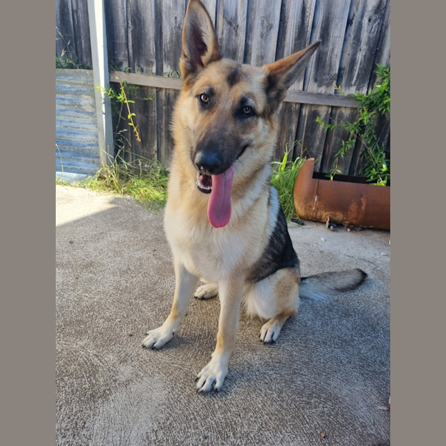 Photo of Storm