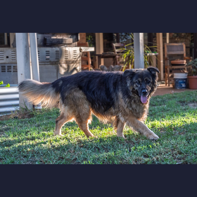 Photo of Zena