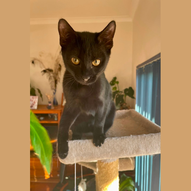 Photo of Trinity 