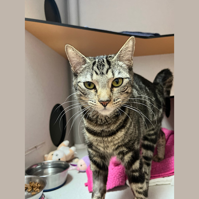 Photo of Coco