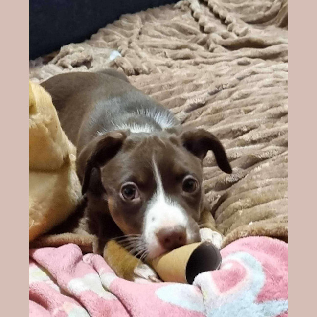 Photo of Turbo