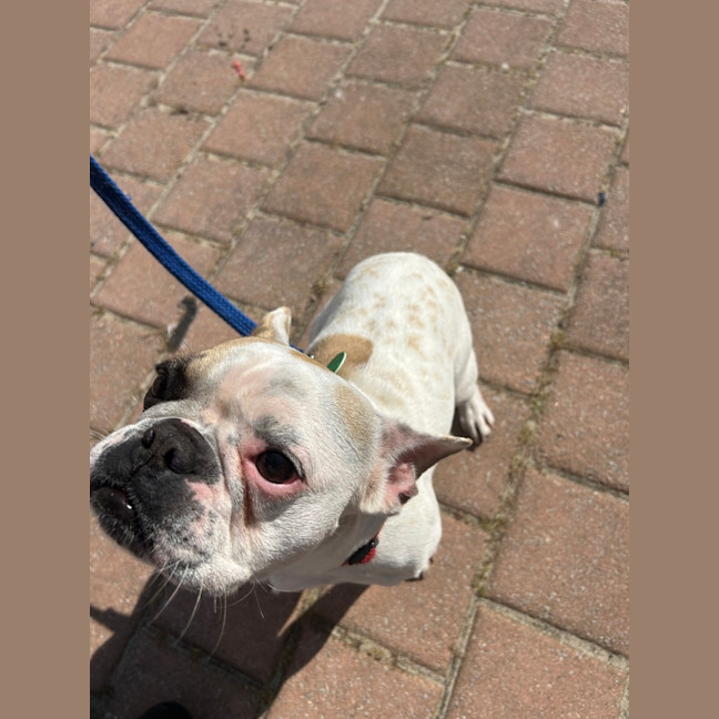 Photo of Bonnie