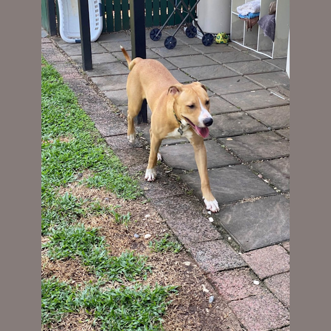 Photo of Chase 