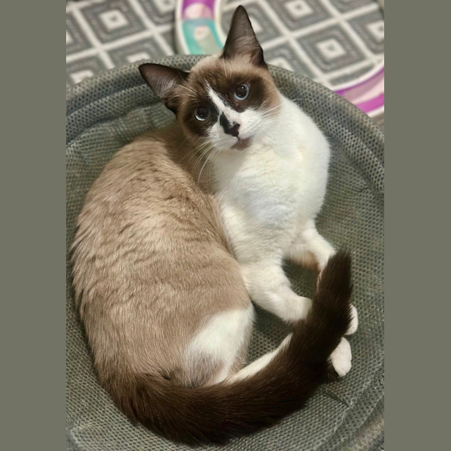 Photo of Sam 💙😻