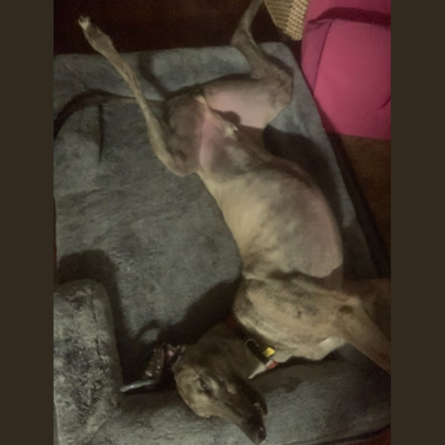 Photo of Monty