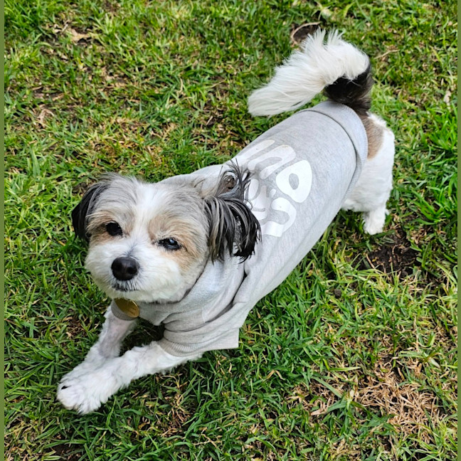 Photo of Senorita
