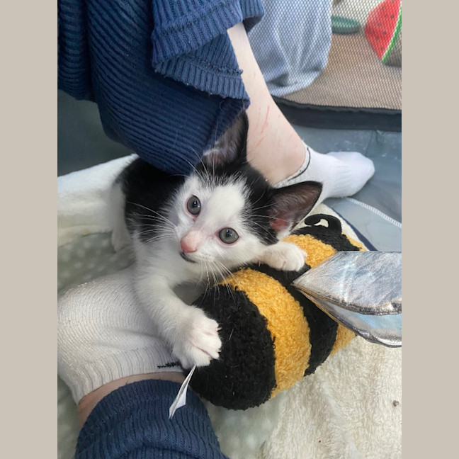 Photo of Zeb Sanderson