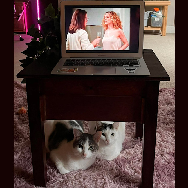 Photo of Suki 