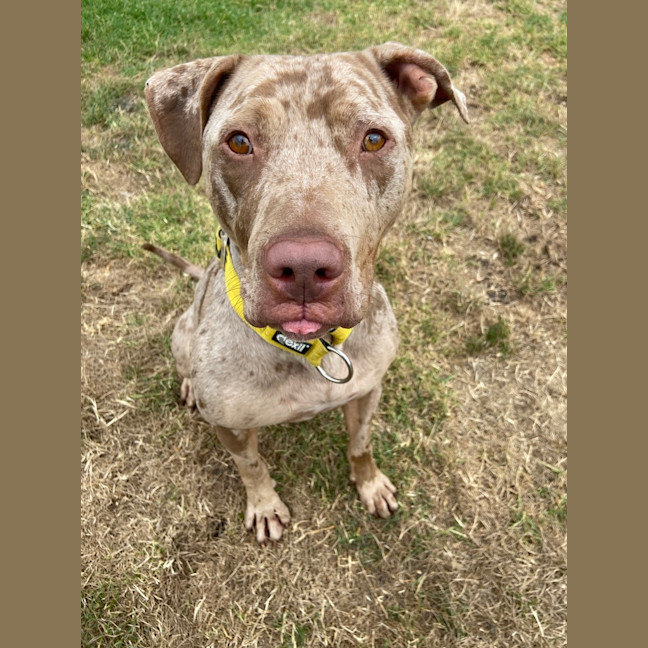 Photo of Mocha