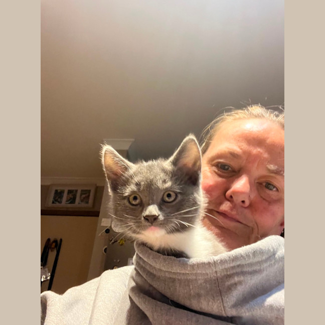 Photo of Dazzle **2nd Chance Cat Rescue **