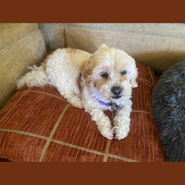 Photo of Bella Wensleydale