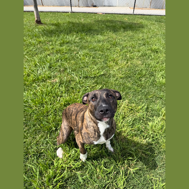 Photo of Lila 