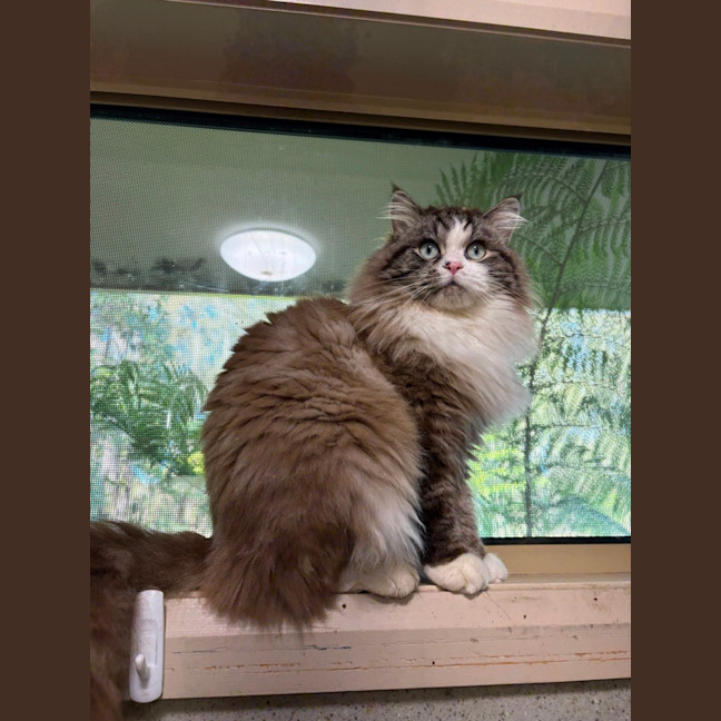 Photo of Angel