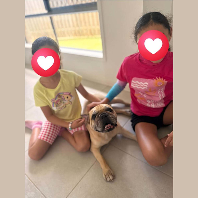 Photo of Rubble *$350 Adoption Fee*