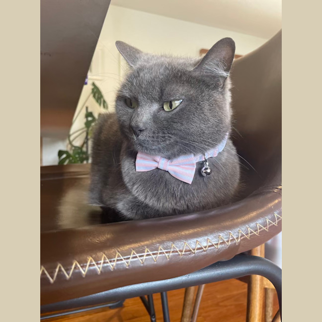Photo of 💖 Coco 👑
