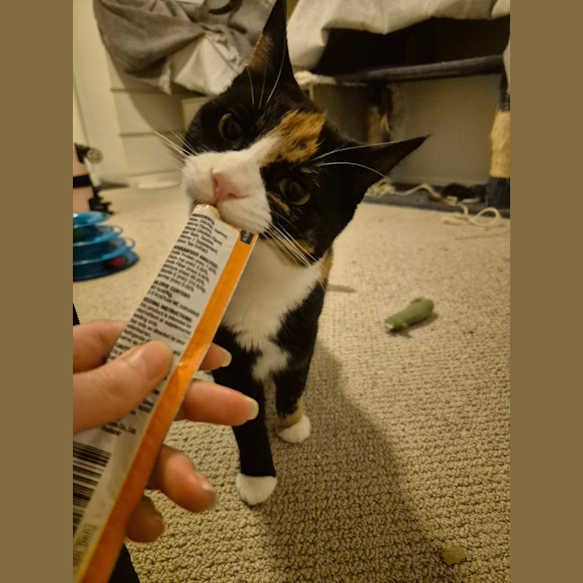 Photo of Carmie