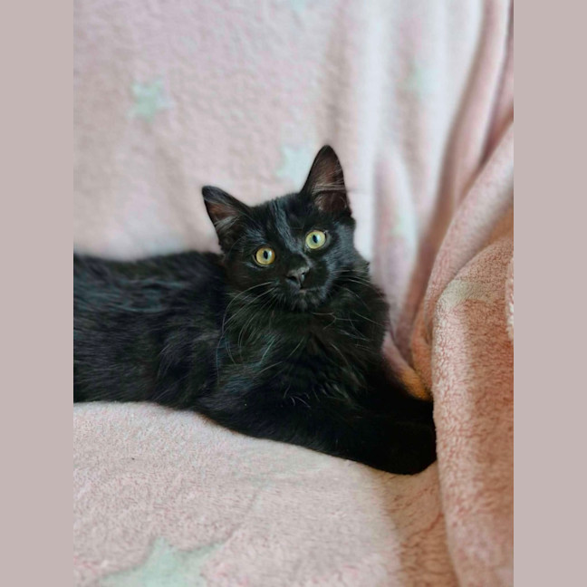 Photo of Yeva 