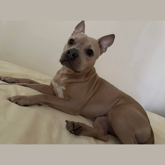 Photo of Daisy