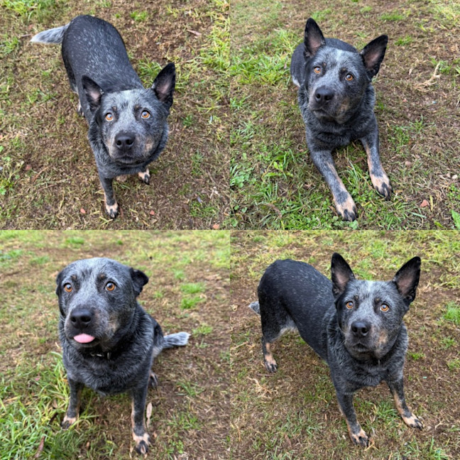 Photo of Lily