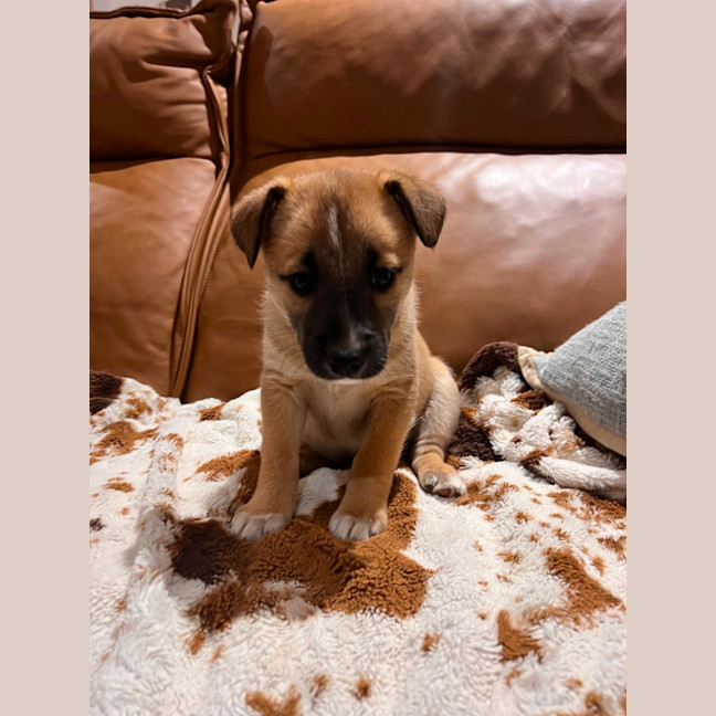 Photo of Athena 