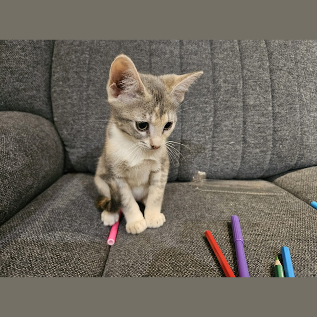 Photo of Isla