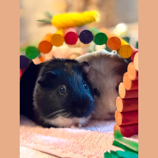 Photo of Boba And Bubbles 