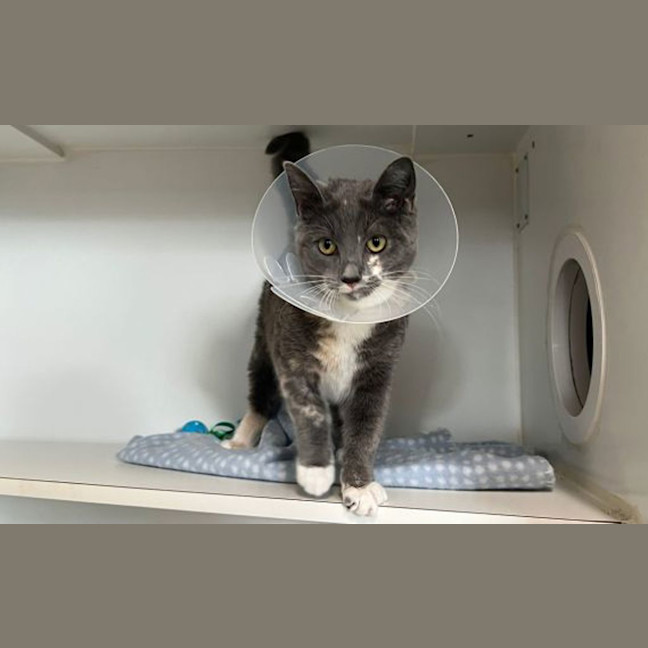Photo of Snugglepot