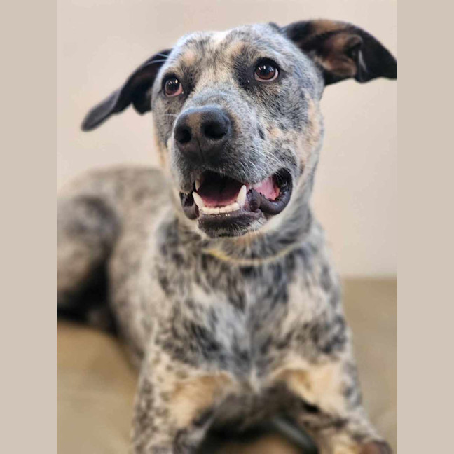 Photo of 🥏 Jude 5465 🥏