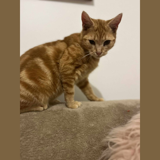 Photo of Gigi   Located In Frankston