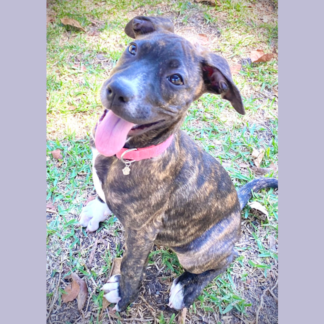 Photo of Zoe