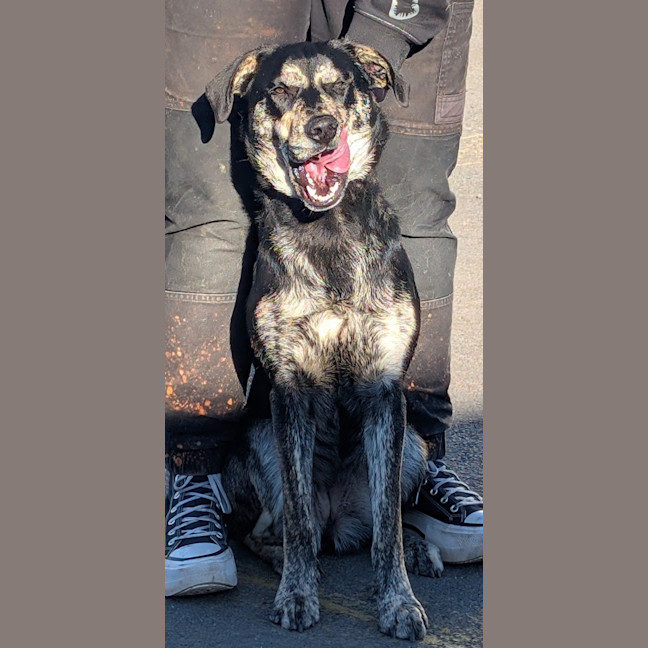 Photo of Tilly