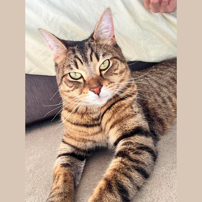 Photo of Rosie