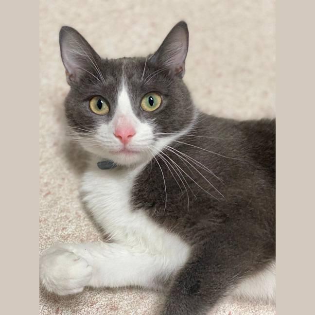 Photo of Storm (9173)