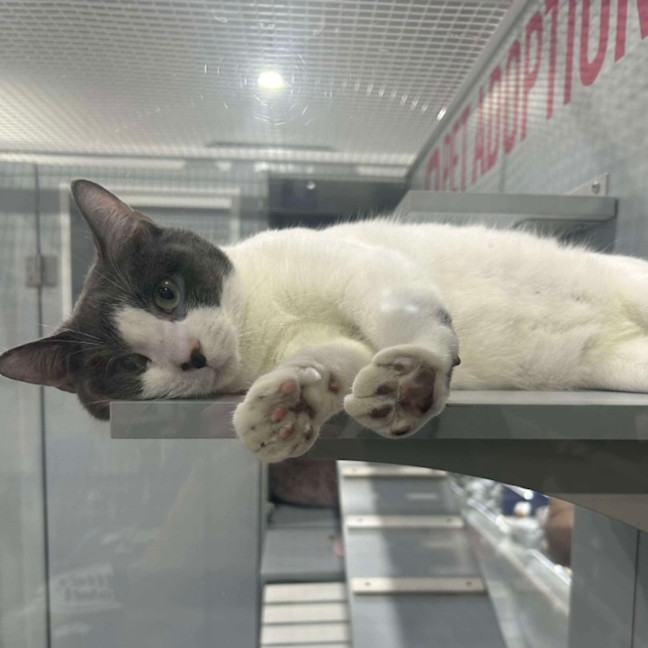 Photo of Pablo 🌟🌴