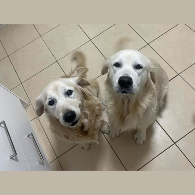 Photo of Princess Imp 3161