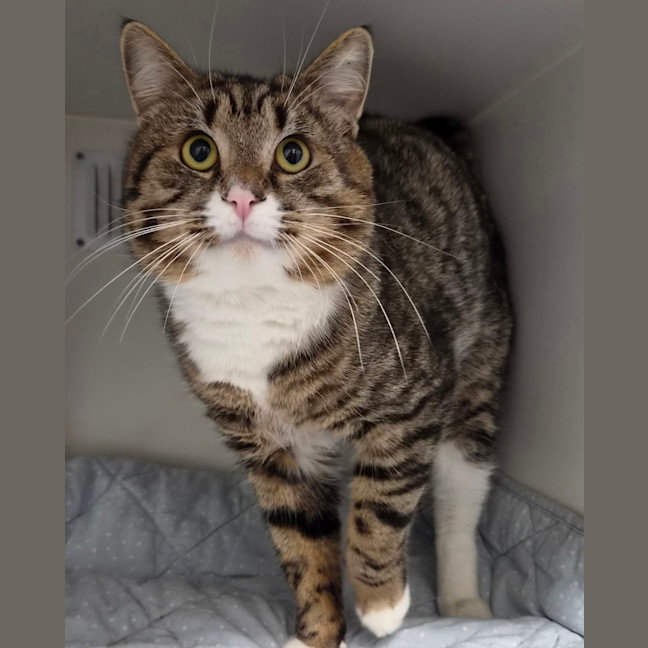 Photo of Alvin
