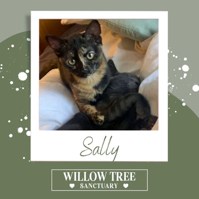 Photo of Sally
