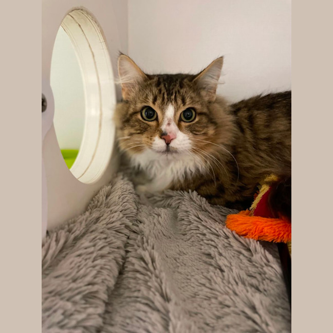 Photo of 🧭 Elijah 5198 🧭