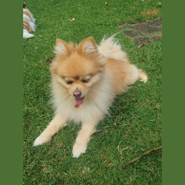 Photo of Grace