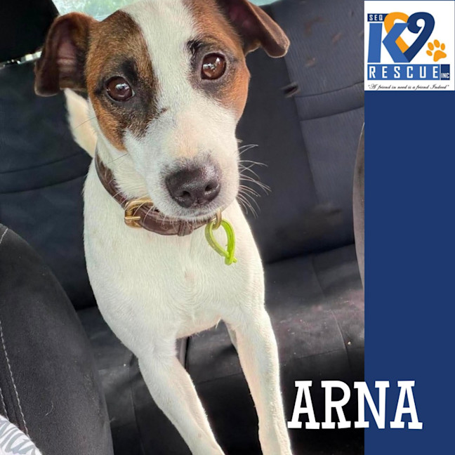 Photo of Arna