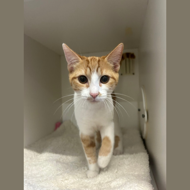 Photo of Samwise