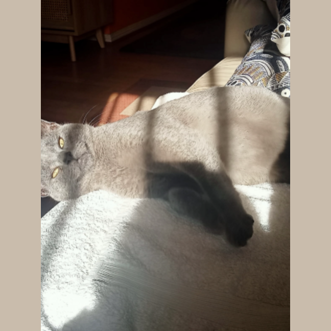Photo of Smoke