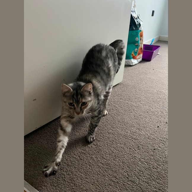Photo of Calypso 
