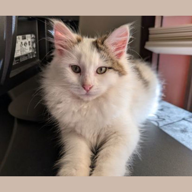 Photo of Endora