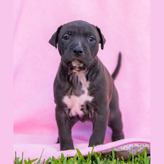 Photo of Coffee Ripple