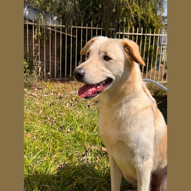 Photo of Atlas